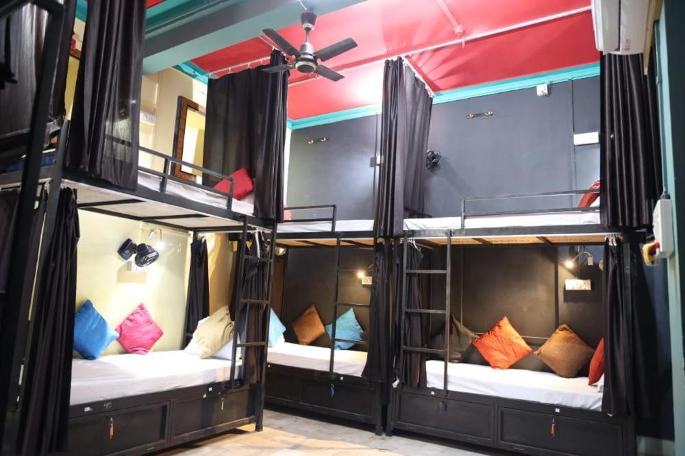 Santkripa Backpackers 400 Mtr From Railway Station Hostel Dzsódhpur Kültér fotó